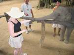 elephant shopping