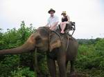in control of an elephant